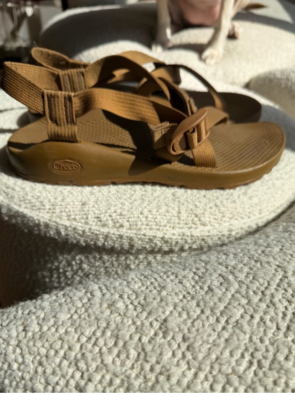 Chaco Women’s Strappy Sandal in Brown